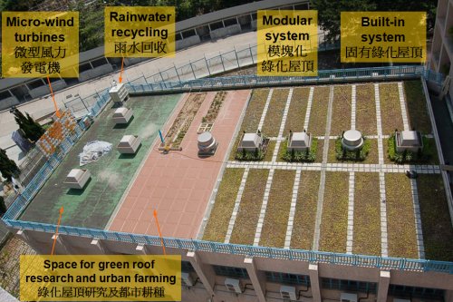 Green Roof
                  Research
