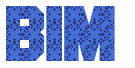 BIM